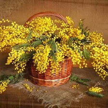 Cross stitch pattern: #1407337