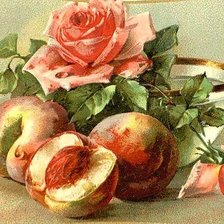 Cross stitch pattern: #1407989