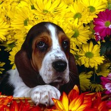 Cross stitch pattern: #1408543