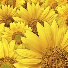 Cross stitch pattern: #1414641