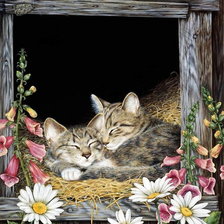 Cross stitch pattern: #1416435