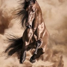 Cross stitch pattern: #1416572