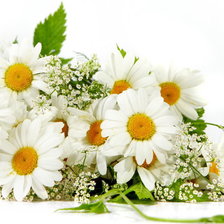 Cross stitch pattern: #1418196