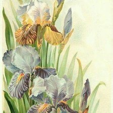 Cross stitch pattern: #1418585