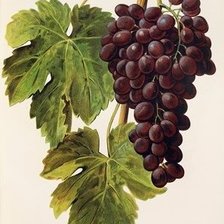 Cross stitch pattern: #1418628