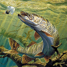 Cross stitch pattern: #1419507