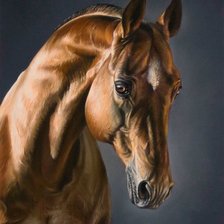 Cross stitch pattern: #1420284