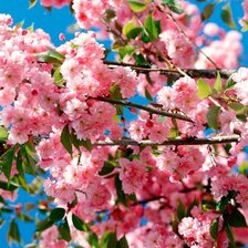 Cross stitch pattern: #1422315