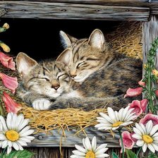 Cross stitch pattern: #1423277