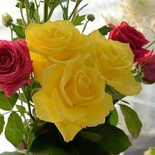 Cross stitch pattern: #1428947