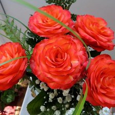 Cross stitch pattern: #1428949