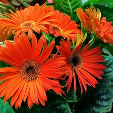 Cross stitch pattern: #1428950