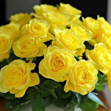 Cross stitch pattern: #1428955