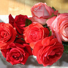 Cross stitch pattern: #1428959