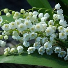 Cross stitch pattern: #1428965