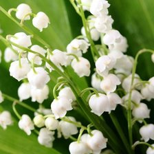 Cross stitch pattern: #1428968