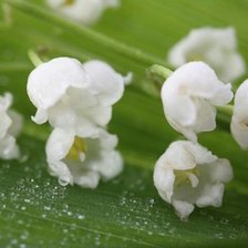 Cross stitch pattern: #1428973