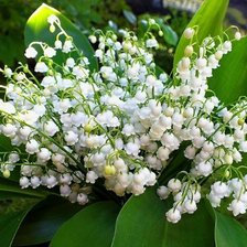 Cross stitch pattern: #1428979