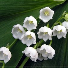 Cross stitch pattern: #1428980