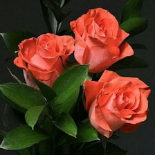 Cross stitch pattern: #1428981