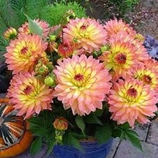 Cross stitch pattern: #1428994