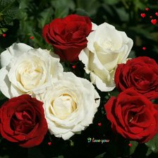 Cross stitch pattern: #1428996