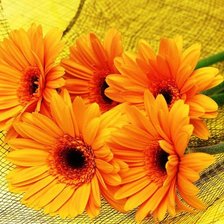 Cross stitch pattern: #1429007