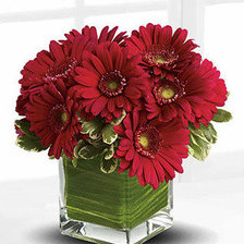 Cross stitch pattern: #1429008