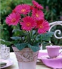 Cross stitch pattern: #1429014