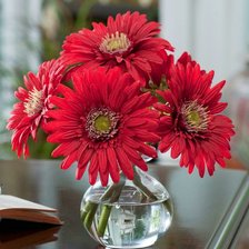 Cross stitch pattern: #1429016