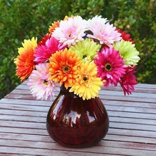 Cross stitch pattern: #1429019