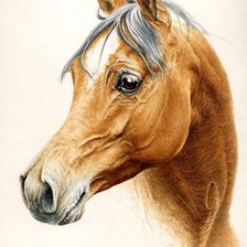 Cross stitch pattern: #1430523