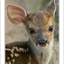 Cross stitch pattern: #1437782