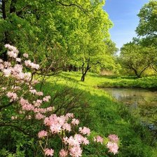 Cross stitch pattern: #1440361