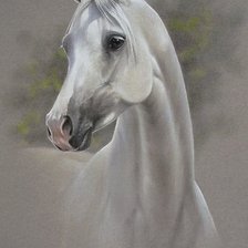 Cross stitch pattern: #1443775