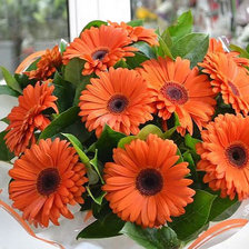 Cross stitch pattern: #1446609