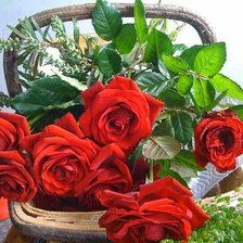 Cross stitch pattern: #1446627