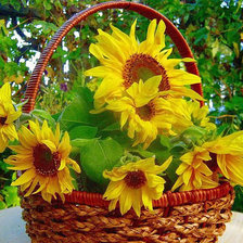 Cross stitch pattern: #1446634