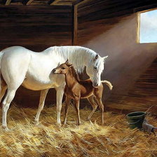 Cross stitch pattern: #1447381