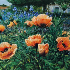 Cross stitch pattern: #1447716