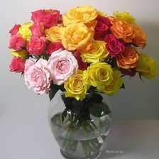 Cross stitch pattern: #1448268