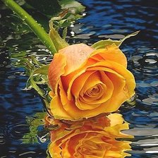 Cross stitch pattern: #1448406