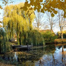 Cross stitch pattern: #1448724