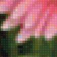 Preview of cross stitch pattern: #1449071