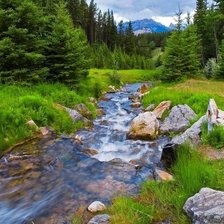 Cross stitch pattern: #1449094