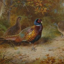 Cross stitch pattern: #1449373