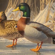 Cross stitch pattern: #1449928