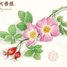 Cross stitch pattern: #1460473