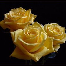 Cross stitch pattern: #1461462