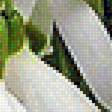 Preview of cross stitch pattern: #1462413